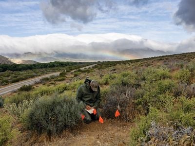 a man crouched down in wilderness