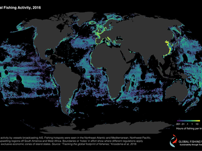 This map shows total fishing activity across the world's oceans as detected by satellite tracking.