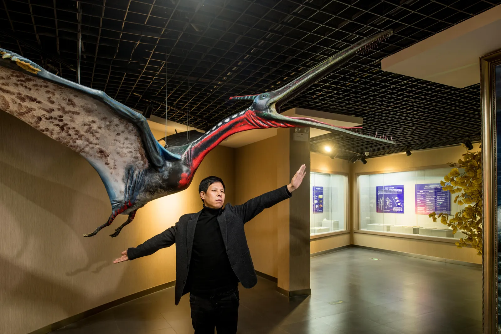 The Great Chinese Dinosaur Boom | Science| Smithsonian Magazine