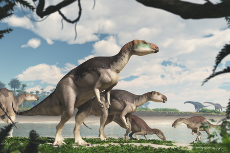 Artist's reconstruction of Fostoria dhimbangunmal, a newly described iguanodontian dinosaur.