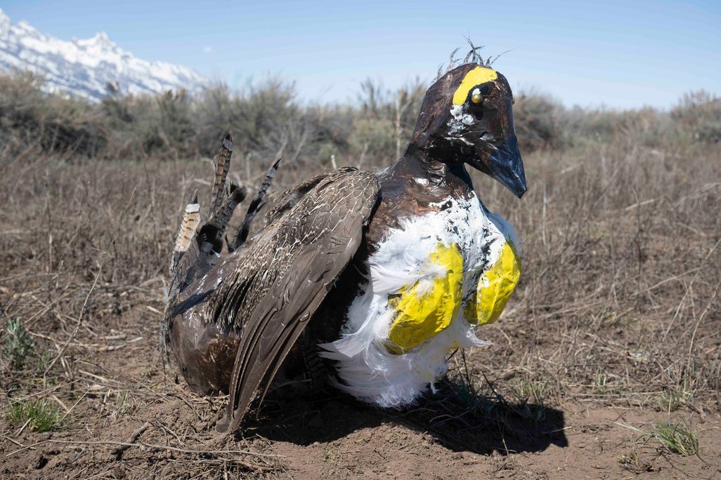 Papier-mâché bird with yellow on its chest