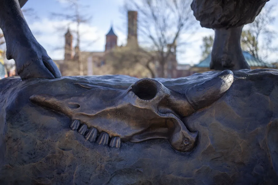 See the 2,500-Pound Bronze Bison as They Arrive at Their New, Permanent Place at the Smithsonian’s National Museum of Natural History