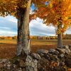 How Stone Walls Became a Signature Landform of New England icon