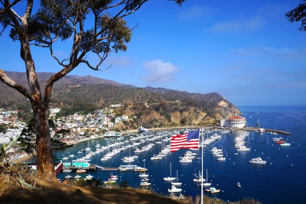 American flag overlooking Catalina Island thumbnail