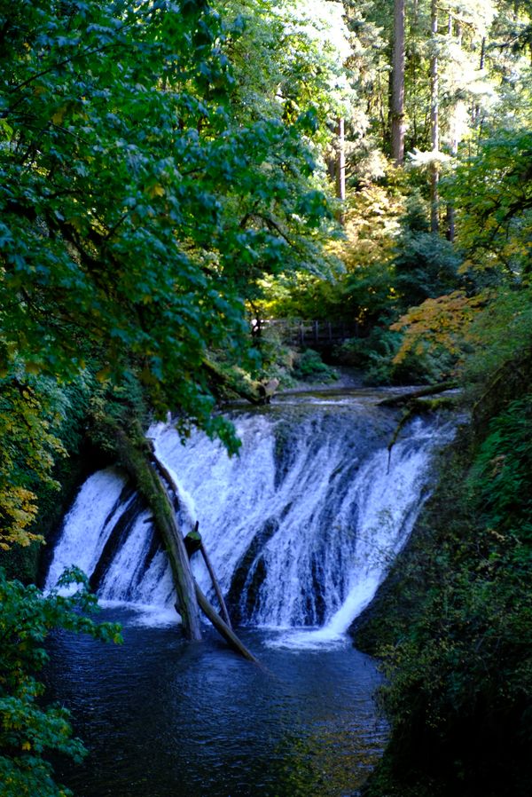 A waterfall inside the State park thumbnail