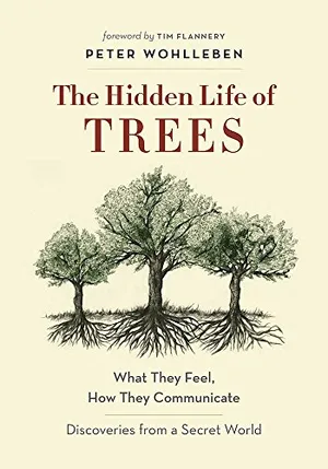Preview thumbnail for 'The Hidden Life of Trees: What They Feel, How They Communicate―Discoveries from A Secret World (The Mysteries of Nature, 1)