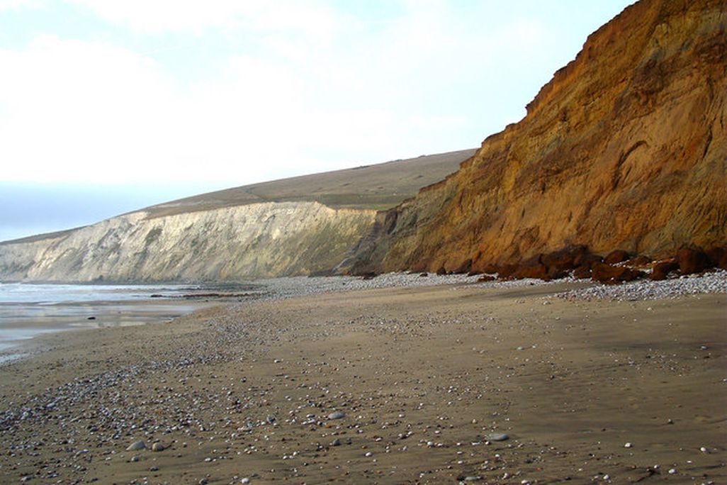 Shepherd Chine beach on the Isle of Wight, where the footprint was discovered
