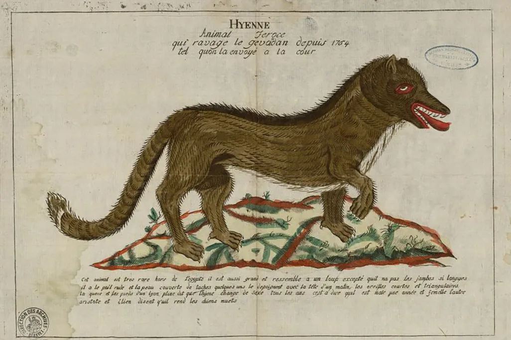 Dessin_de_la_bête_du_Gévaudan_1765_-_Archives_départementales_de_l’Hérault_-_FRAD034-C440002-00001.jpg