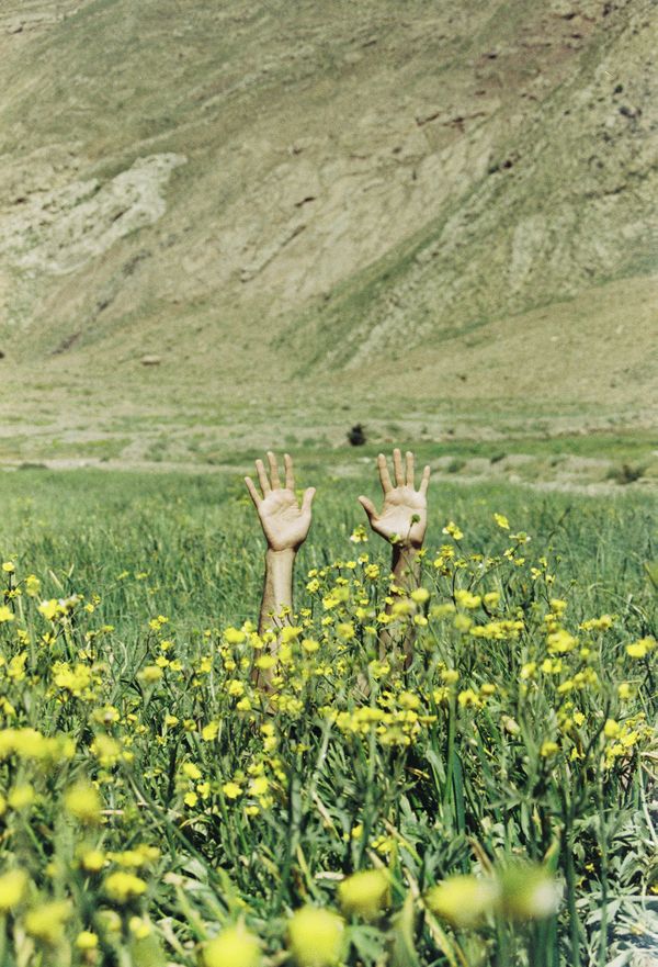 Hands Are  Free thumbnail