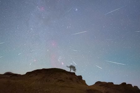 The Orionids will be visible from both hemispheres, but they may be somewhat obscured by light from the moon.