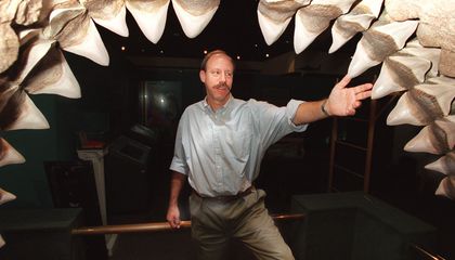 Was Megalodon Slimmer Than Previously Thought?