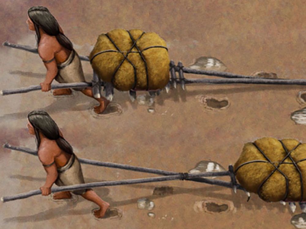Illustration of humans using a primitive transport vehicle made of wood sticks