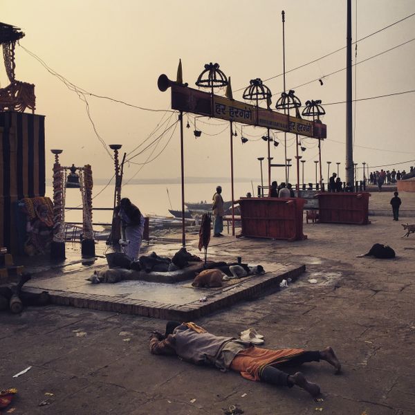 Pilgrim praying in Varanasi thumbnail