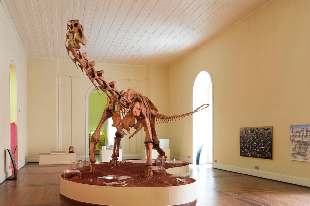 national museum