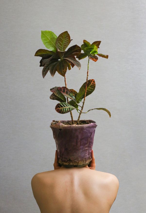 Vase to head thumbnail