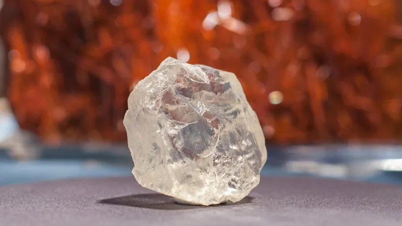 The Foxfire Diamond Bedazzles as Smithsonian's Newest Rock Star