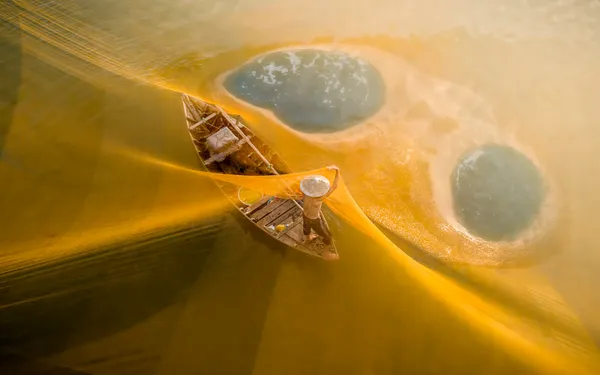 Yellow Net 1 thumbnail