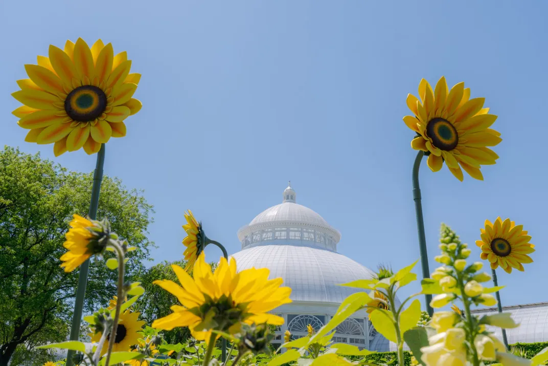 Sunflower sculptures by Cyril Lancelin