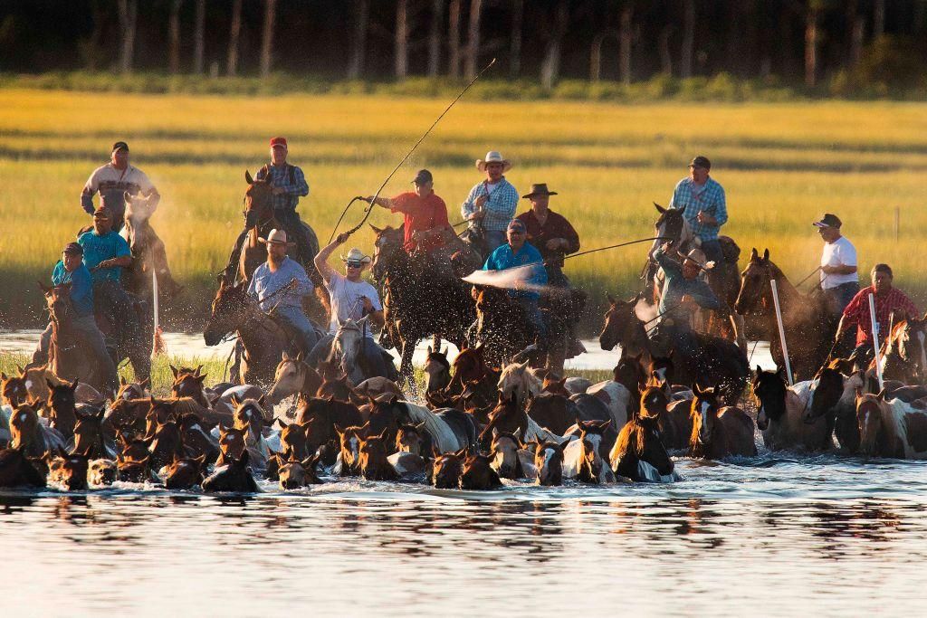 How America Became Obsessed With Horses