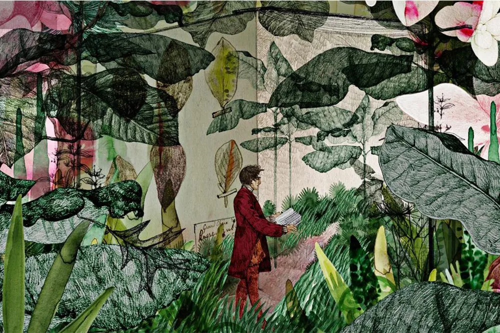 OPENER - Michaux Illo