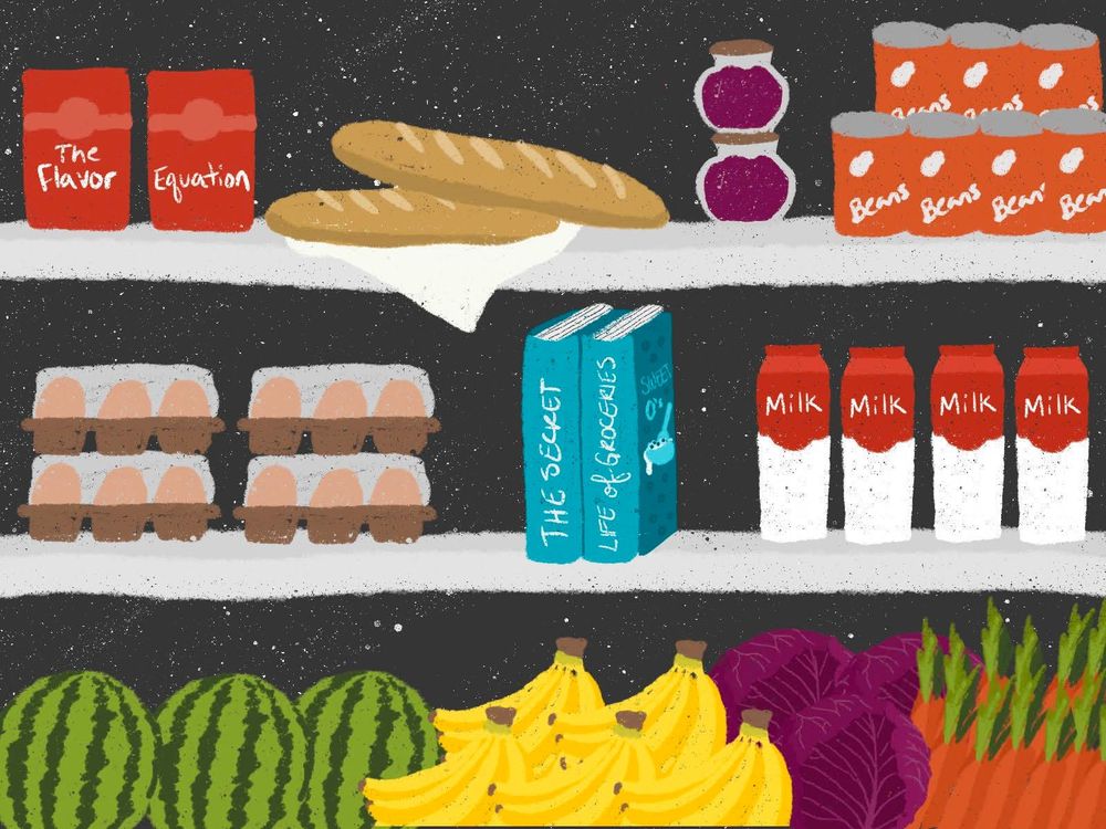 illustration of shelves with bread, cartons that say The Flavor Equation, vegetables and fruits, cans of beans, eggs, and two books titled The Secret Life of Groceries