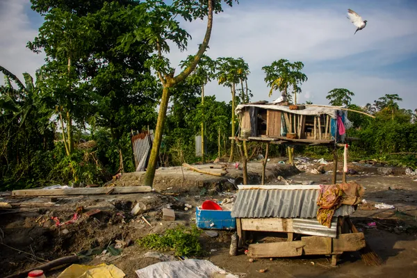 Due to the erosion of the Padma River, people are forced to demolish their homes and move elsewhere. thumbnail