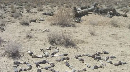 U2 was here—and so were thousands of fans who managed to find the remote Mojave Desert location of the very Joshua tree depicted in the photo series accompanying U2's 1987 album. The tree has died and now lies in brittle bits and pieces.