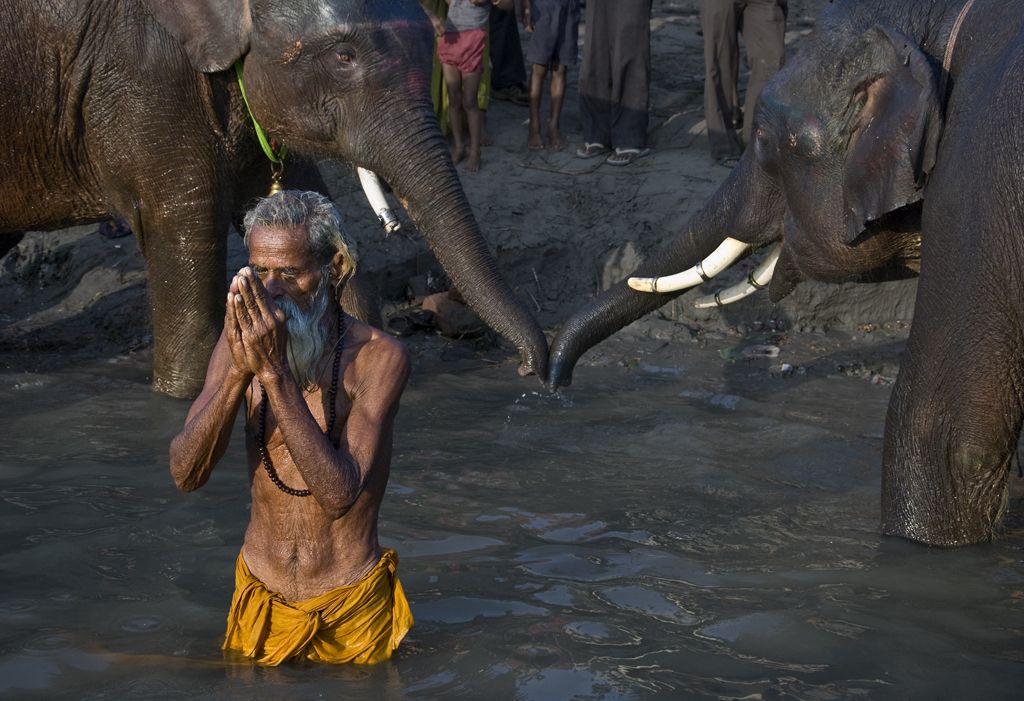Hindu Sadhu sun-worshipping at Sonpur Mela- largest animal fair in India  where elephants have come to be sold. | Smithsonian Photo Contest |  Smithsonian Magazine