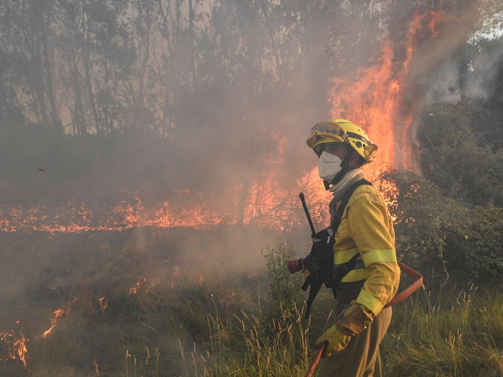 A firefighter stands in front of a forest fire
