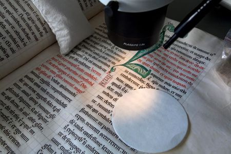 Folium was used to illustrate illuminated manuscripts—and color the rind of a popular Dutch cheese.