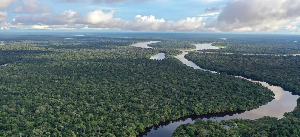  Amazon River cutting through the rainforest 
