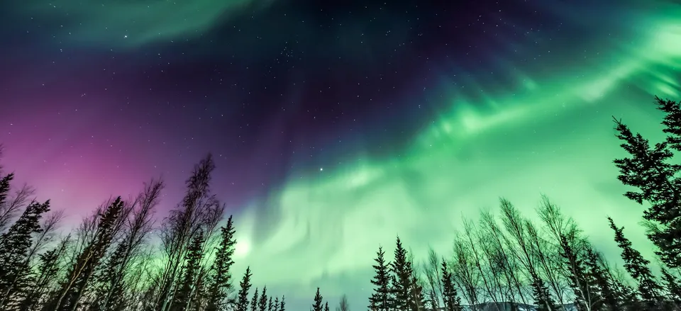 DISCOVER Alaska: Fairbanks Under the Northern Lights Experience the pristine wilderness of our northern frontier as you travel from Anchorage into Alaska’s interior in pursuit of nature’s most spectacular light show: the aurora borealis.