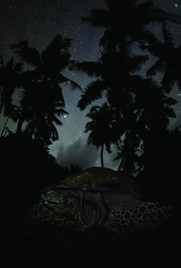 Under The Stars thumbnail