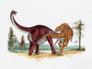 20110520083123tyrannosaurus-alamosaurus-skrepnick-painting-300x226.jpg