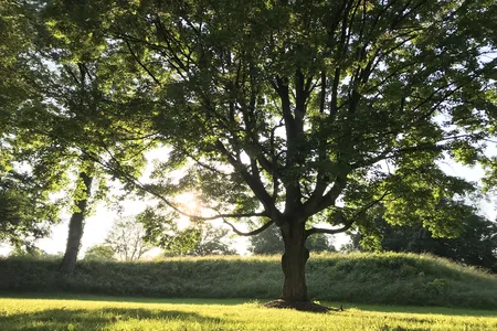 The Newark Earthworks in Ohio consist of three sections of preserved earthworks: the Great Circle Earthworks, the Octagon Earthworks and the Wright Earthworks.