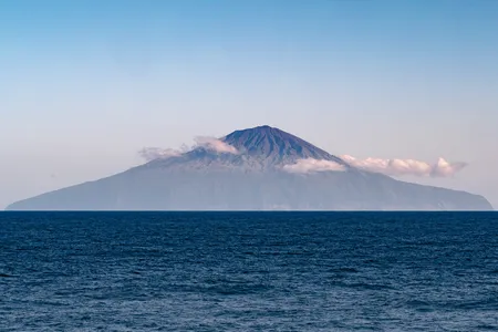 A remarkable abundance of wildlife reside on or around the territory's four islands, including endangered yellow-nosed albatross, sevengill sharks, rockhopper penguins and 11 species of whales and dolphins.

