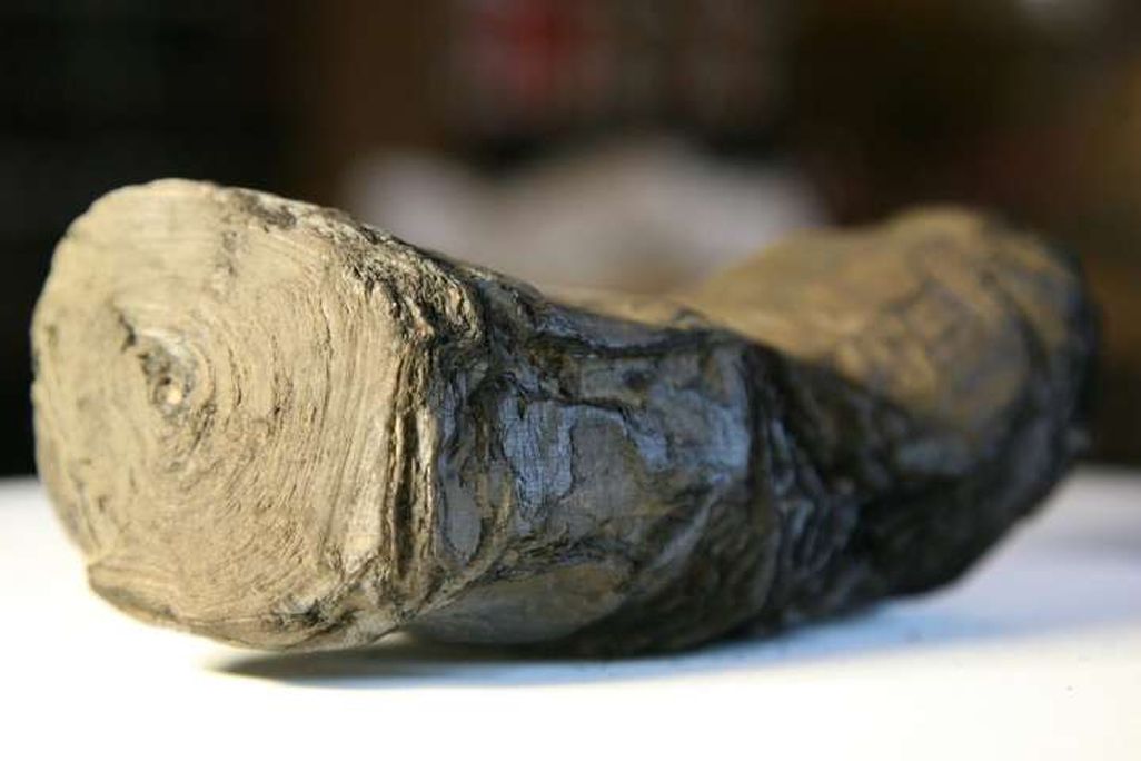 Charred Scroll