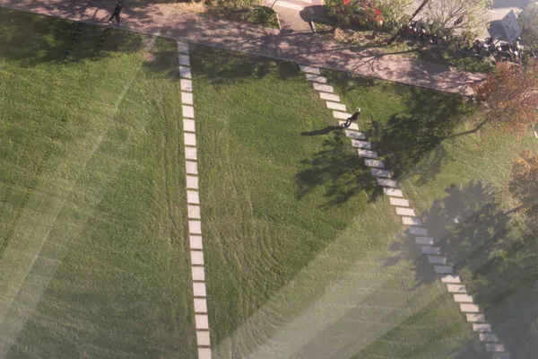 Geometries of the park. thumbnail