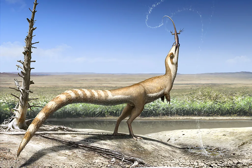 Sinosauropteryx