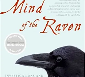 Mind of the Raven: Investigations and Adventures with Wolf-Birds