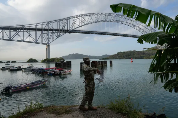 A seagull accidentally flies into a police officer. thumbnail