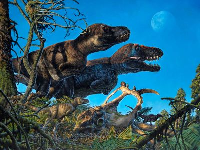 The tyrannosaur Nanuqsaurus, which lived in the Arctic, with its young. New evidence suggests dinosaurs nested in the cold, dark region.