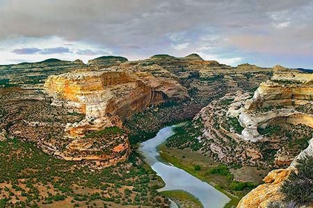 Actual dinosaurs were discovered at Dinosaur National Monument a century ago. Starting in 1909, fossil hound Earl Douglass found fantastic remains of gigantic dinosaurs.