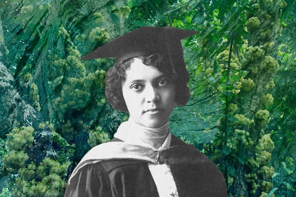 Illustration of Alice Ball in front of a grove of chaulmoogra trees