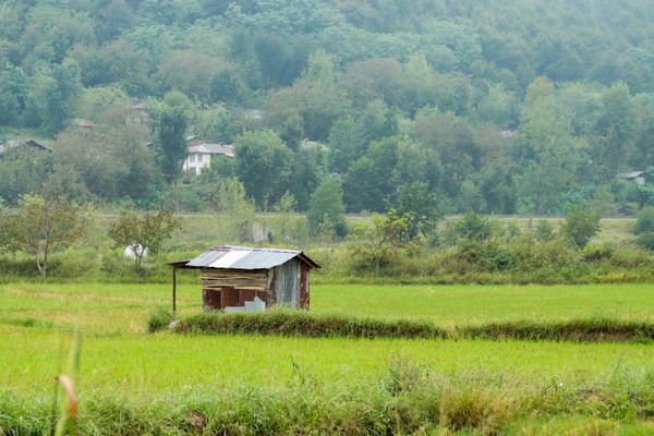 A landscape in the north of Iran thumbnail