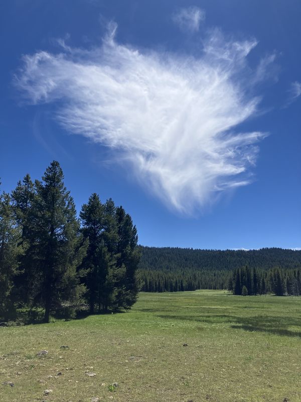 Malheur Mountain Meadow thumbnail