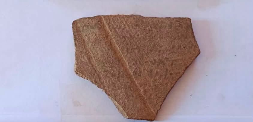 ostraca