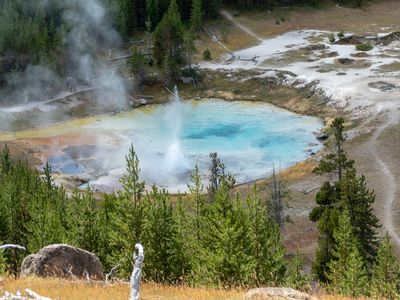 Imperial Geyser is one of the many hydrothermal features that draw visitors to Yellowstone National Park.