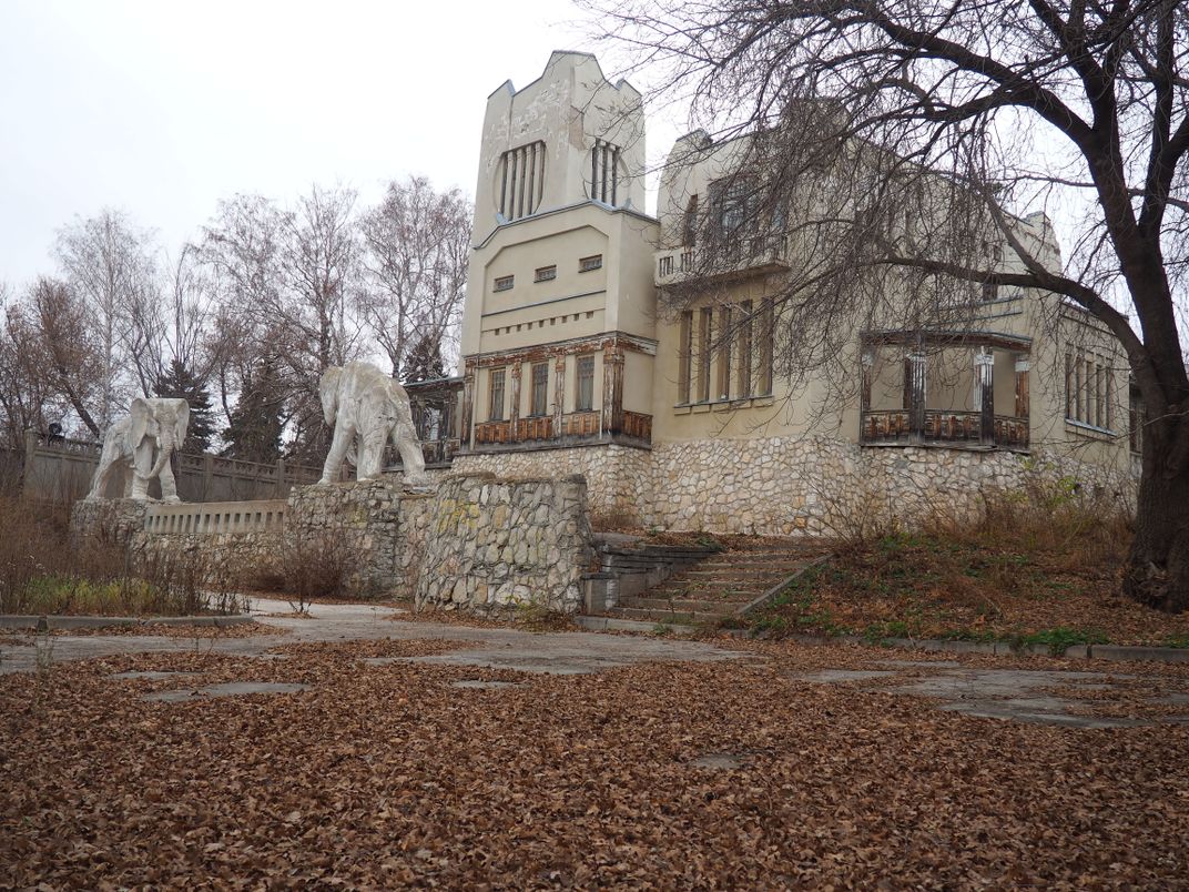 Самара дом со слонами история фото