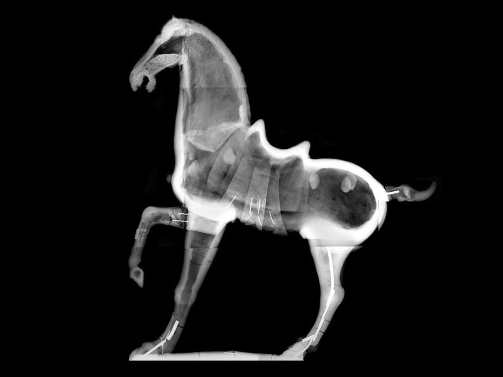 Black and white horse sculpture with one leg raised